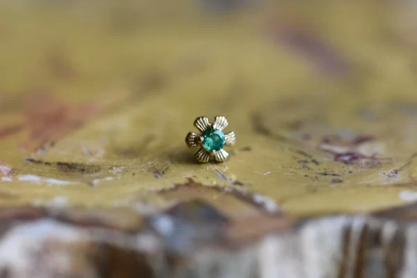 Tawapa "Season" End - Image 3