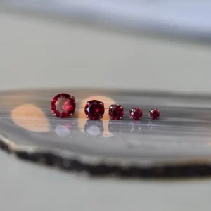 NeoMetal Ruby Prong Top