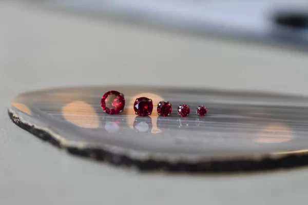 NeoMetal Ruby Prong Top