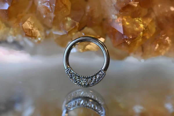 BVLA Pave Janna Seamless Hoop