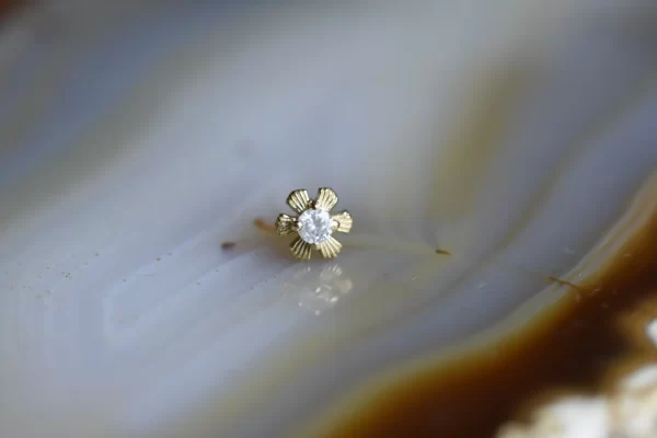 Tawapa "Season" End - Image 2