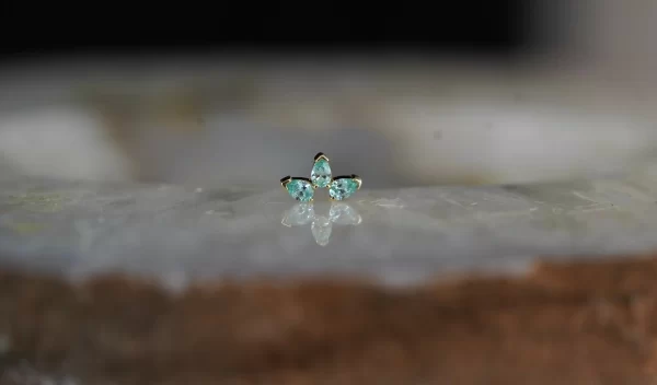 BVLA Saint - Image 2