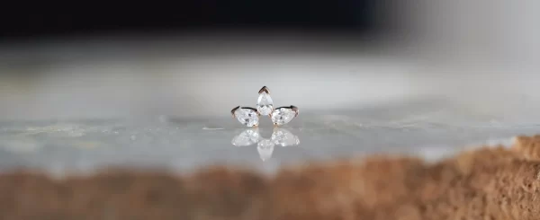 BVLA Saint - Image 3