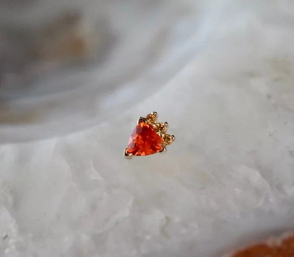 BVLA Micol - Image 4