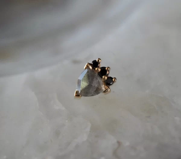 BVLA Micol - Image 3