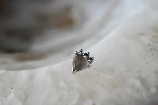 BVLA Micol - Image 2