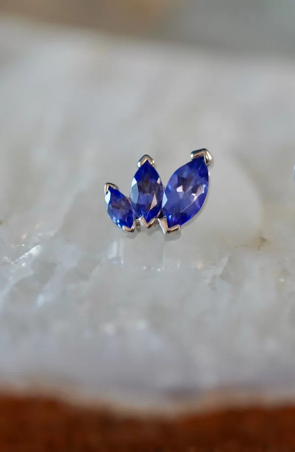 BVLA French Kiss Ends - Image 2