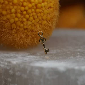 BVLA Skeleton Key Charm