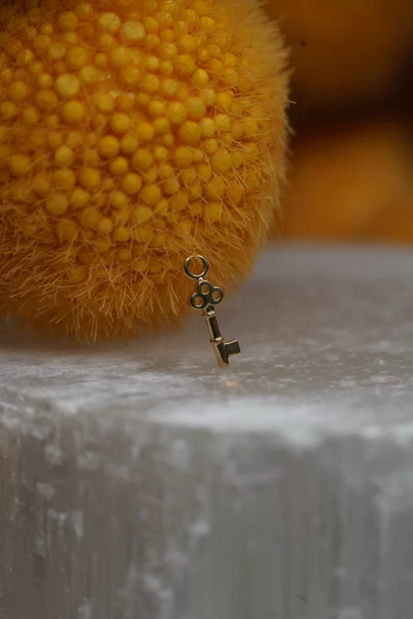 BVLA Skeleton Key Charm