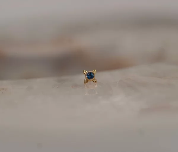 BVLA Mini Kandy - Image 7