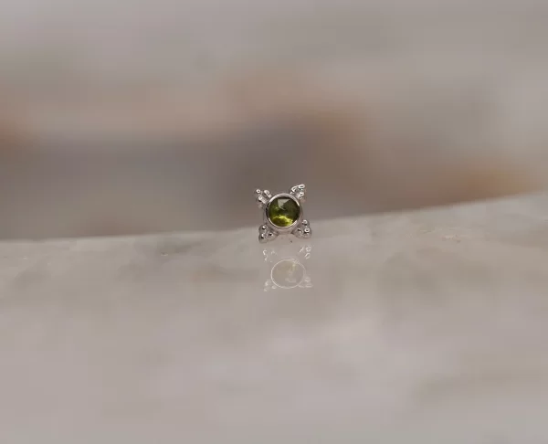 BVLA Mini Kandy - Image 8