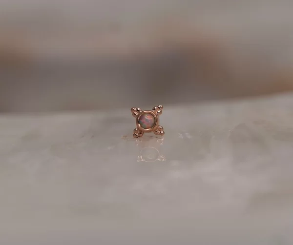 BVLA Mini Kandy - Image 10