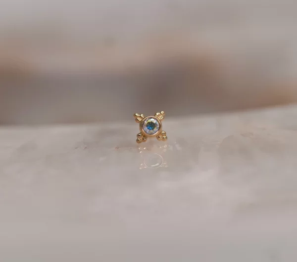 BVLA Mini Kandy - Image 11