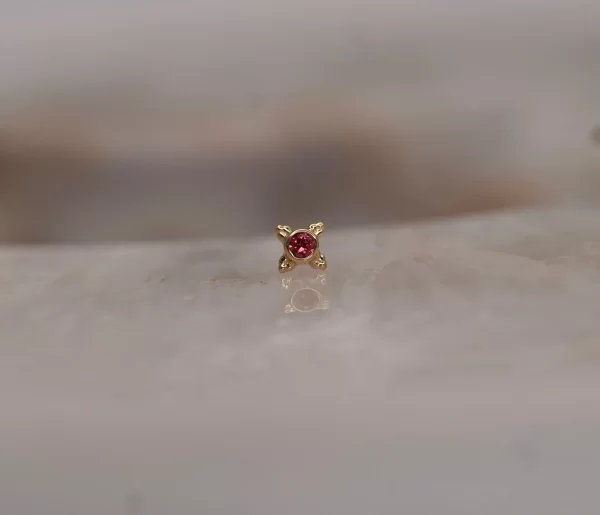 BVLA Mini Kandy - Image 13