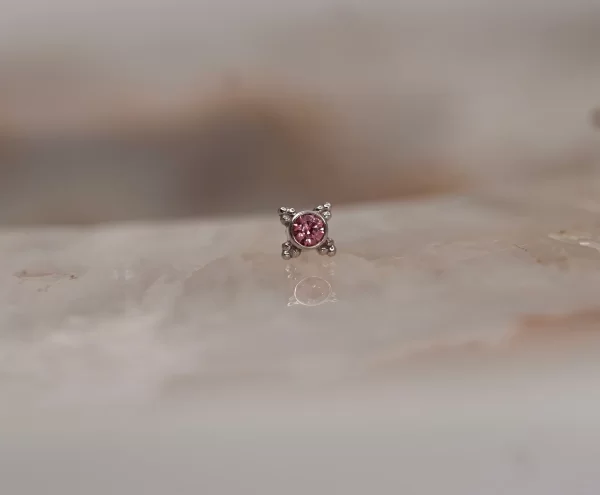 BVLA Mini Kandy - Image 12