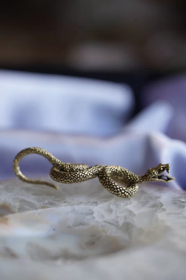 Safe Products Snake Earrings - Image 2