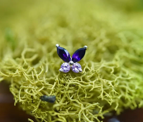 BVLA Monarch - Image 9