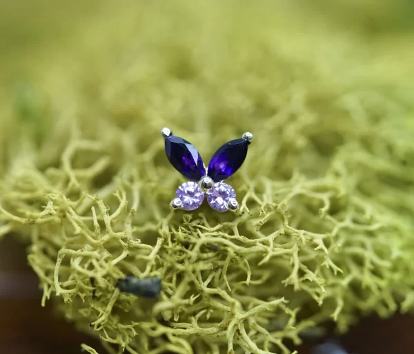 BVLA Monarch - Image 2