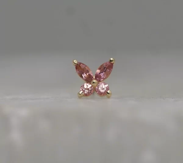 BVLA Monarch - Image 3