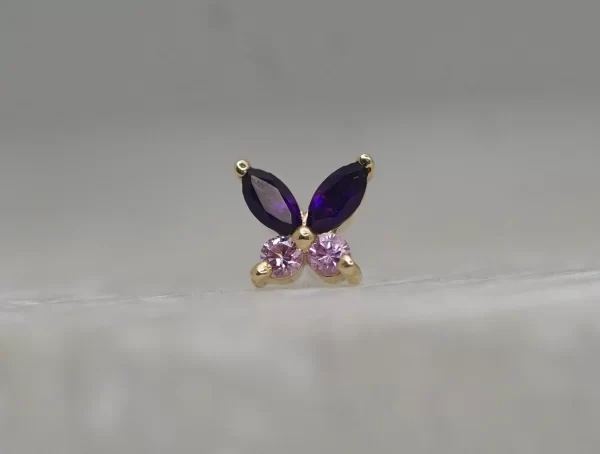 BVLA Monarch - Image 4