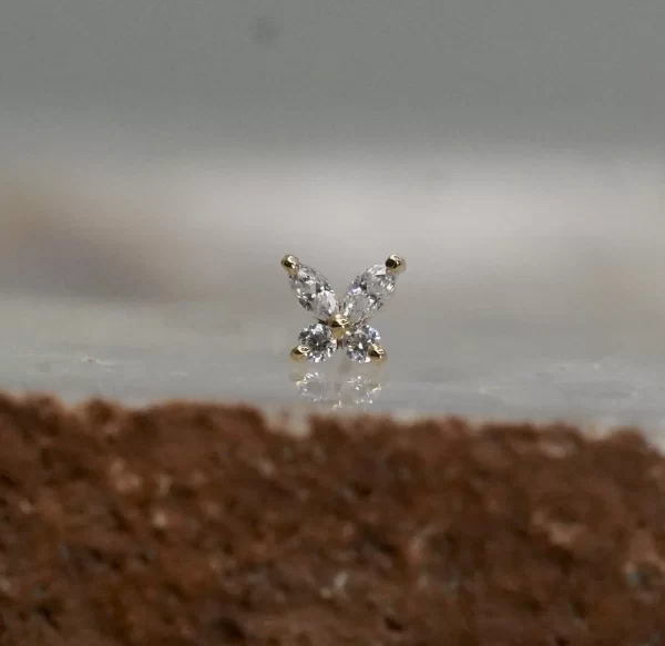 BVLA Monarch - Image 5