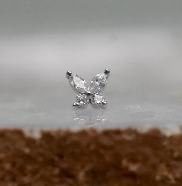 BVLA Monarch - Image 6