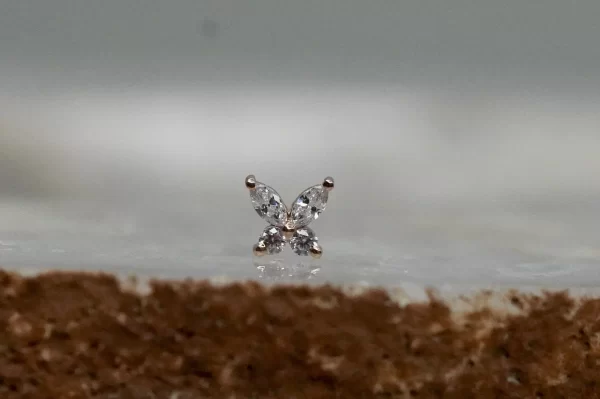 BVLA Monarch - Image 7