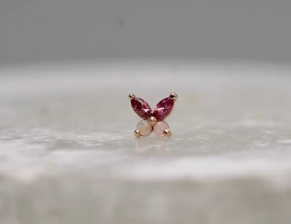 BVLA Monarch - Image 8