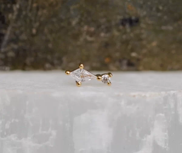 BVLA Kiss and Tell - Image 4