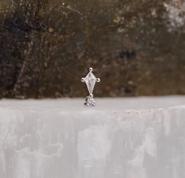 BVLA Kiss and Tell - Image 5