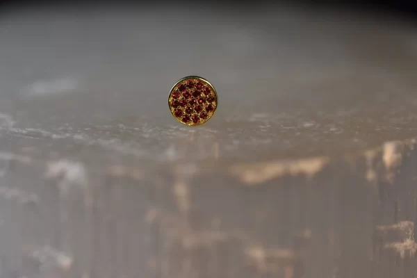 BVLA Micro Pave Disk