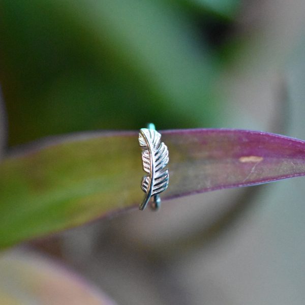BVLA Feather Seam Ring