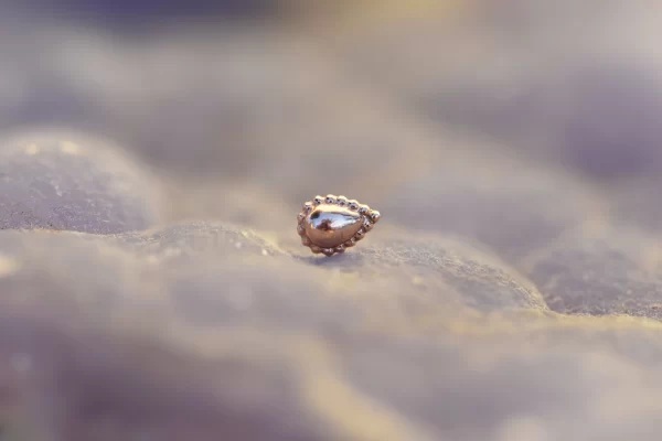 Regalia Fat Bottom Girl