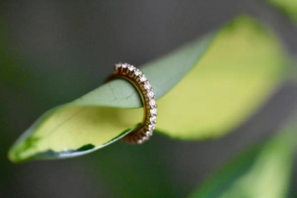 BVLA Telesto with Genuine Diamonds