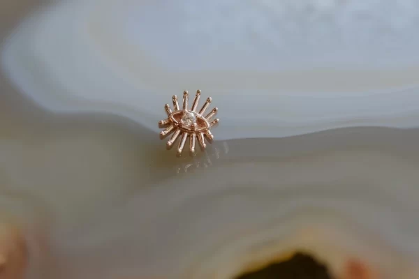 BVLA Trixy - Image 2