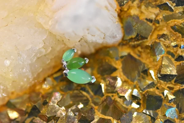 BVLA French Kiss Ends