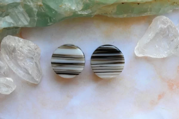 Gorilla Glass "Upcycle" Plugs