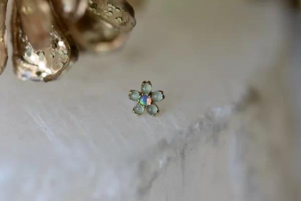 BVLA Cherry Blossom - Image 4