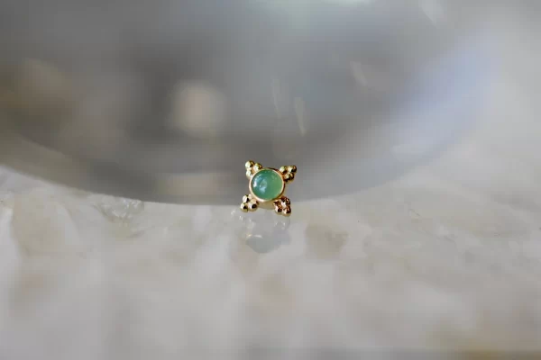 BVLA Mini Kandy - Image 6