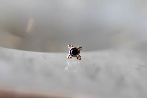 BVLA Mini Kandy - Image 2