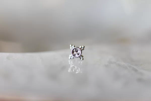 BVLA Mini Kandy - Image 3