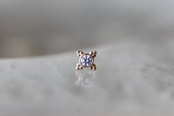 BVLA Mini Kandy - Image 5