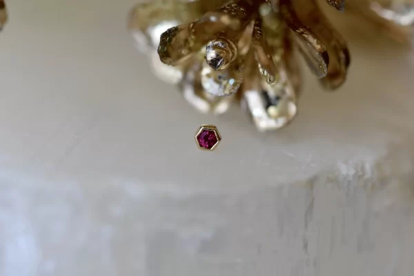 BVLA Single Honeycomb - Image 2