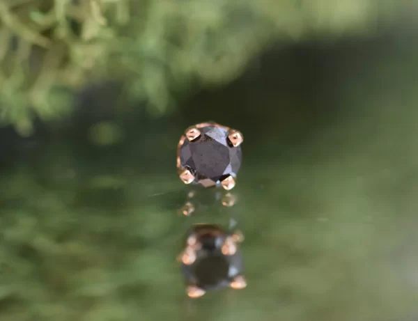 BVLA Black Diamond - Image 3