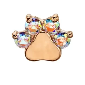 BVLA "Apollo" Paw Print