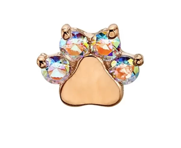 BVLA "Apollo" Paw Print