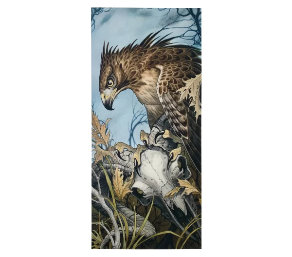 Red Tail Ram Print by Curtis Burgess