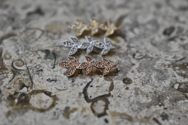 BVLA Wisteria End - Image 2