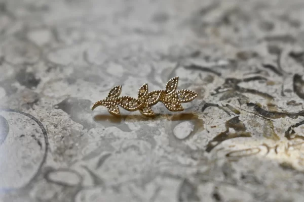 BVLA Wisteria End - Image 3